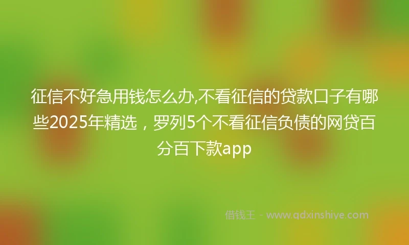 征信不好急用钱怎么办,不看征信的贷款口子有哪些2025年精选，罗列5个不看征信负债的网贷百分百下款app