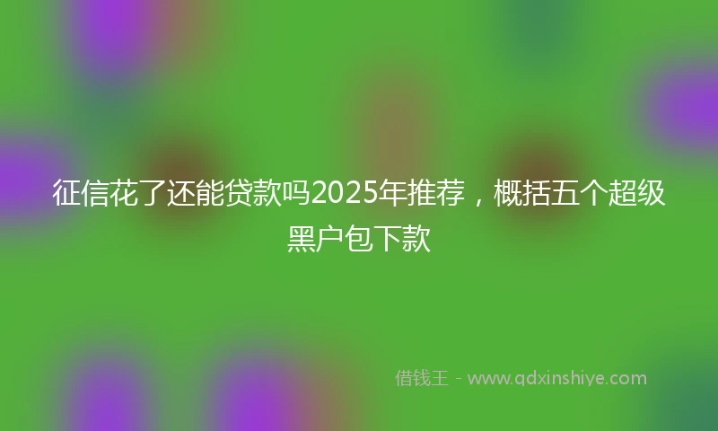征信花了还能贷款吗2025年推荐，概括五个超级黑户包下款
