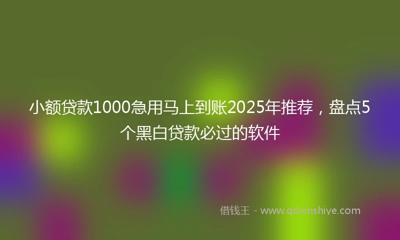 小额贷款1000急用马上到账2025年推荐，盘点5个黑白贷款必过的软件