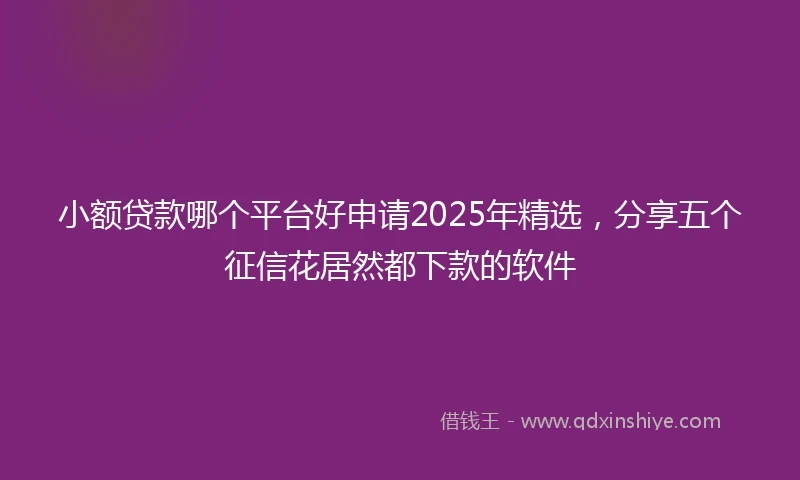 小额贷款哪个平台好申请2025年精选，分享五个征信花居然都下款的软件