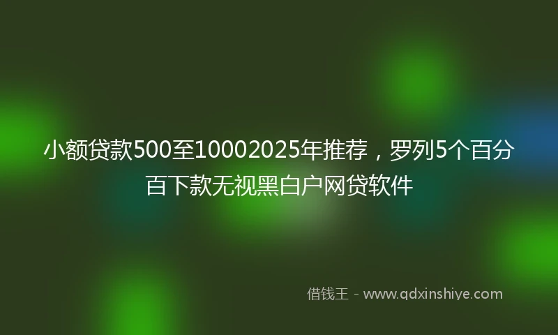 小额贷款500至10002025年推荐，罗列5个百分百下款无视黑白户网贷软件