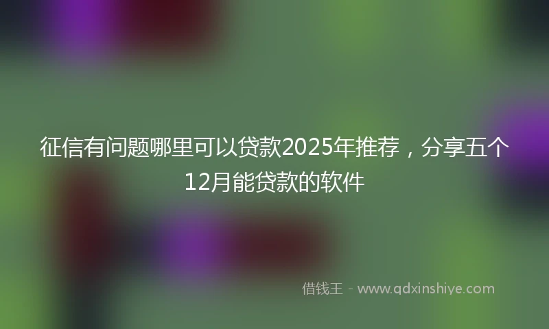 征信有问题哪里可以贷款2025年推荐，分享五个12月能贷款的软件