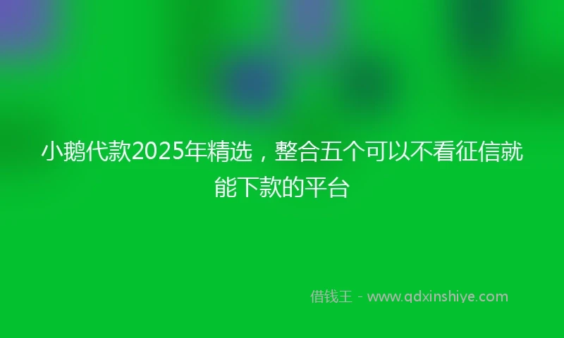 小鹅代款2025年精选，整合五个可以不看征信就能下款的平台