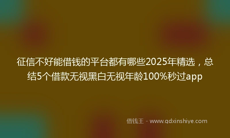 征信不好能借钱的平台都有哪些2025年精选,总结5个借款无视黑白无视年龄100%秒过app