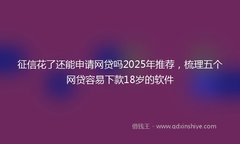征信花了还能申请网贷吗2025年推荐，梳理五个网贷容易下款18岁的软件