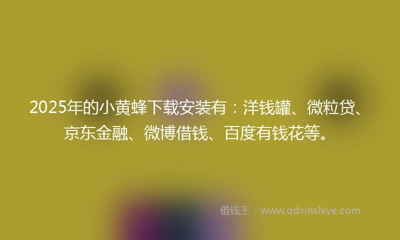 2025年的小黄蜂下载安装有：洋钱罐、微粒贷、京东金融、微博借钱、百度有钱花等。