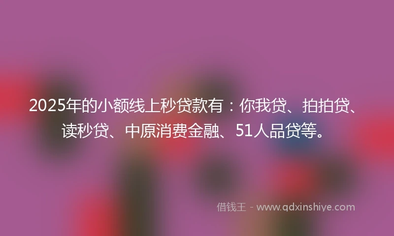 2025年的小额线上秒贷款有：你我贷、拍拍贷、读秒贷、中原消费金融、51人品贷等。