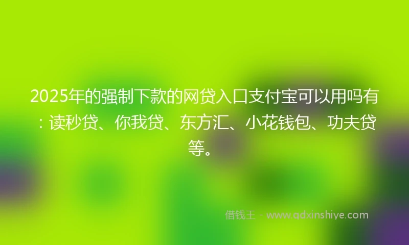 2025年的强制下款的网贷入口支付宝可以用吗有：读秒贷、你我贷、东方汇、小花钱包、功夫贷等。