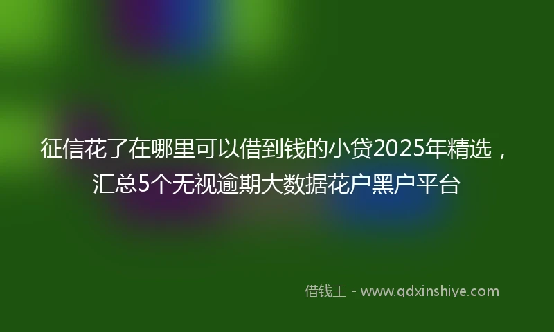 征信花了在哪里可以借到钱的小贷2025年精选，汇总5个无视逾期大数据花户黑户平台