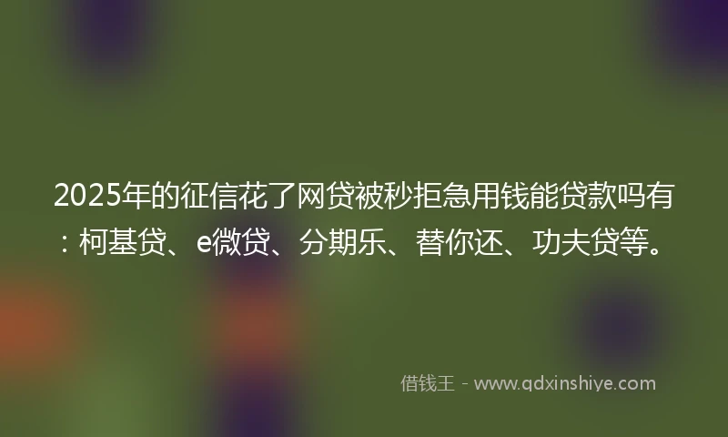 2025年的征信花了网贷被秒拒急用钱能贷款吗有：柯基贷、e微贷、分期乐、替你还、功夫贷等。