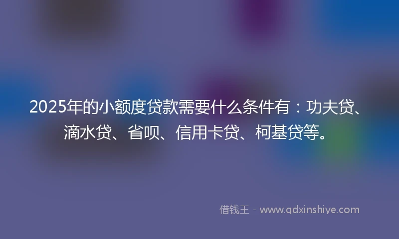 2025年的小额度贷款需要什么条件有：功夫贷、滴水贷、省呗、信用卡贷、柯基贷等。