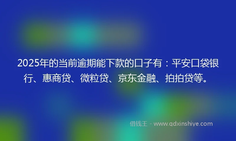 2025年的当前逾期能下款的口子有：平安口袋银行、惠商贷、微粒贷、京东金融、拍拍贷等。
