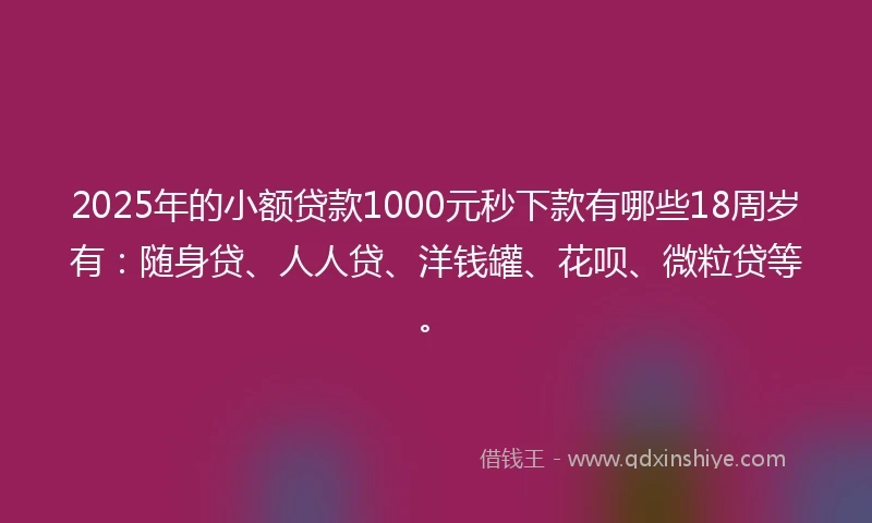 2025年的小额贷款1000元秒下款有哪些18周岁有：随身贷、人人贷、洋钱罐、花呗、微粒贷等。