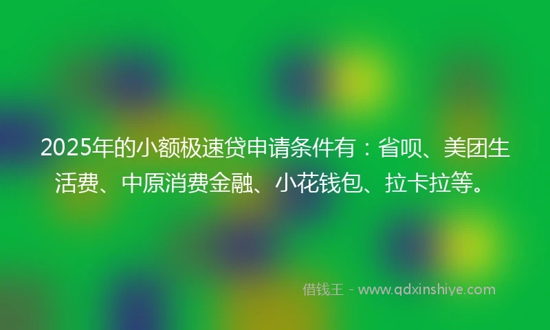2025年的小额极速贷申请条件有：省呗、美团生活费、中原消费金融、小花钱包、拉卡拉等。