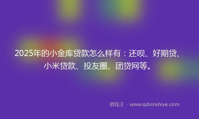 2025年的小金库贷款怎么样有：还呗、好期贷、小米贷款、投友圈、团贷网等。