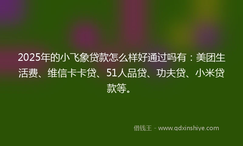 2025年的小飞象贷款怎么样好通过吗有：美团生活费、维信卡卡贷、51人品贷、功夫贷、小米贷款等。