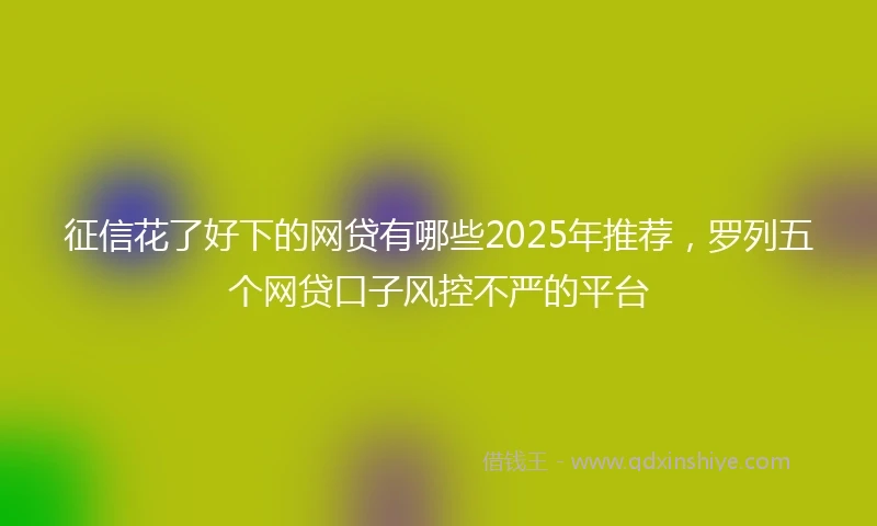 征信花了好下的网贷有哪些2025年推荐，罗列五个网贷口子风控不严的平台