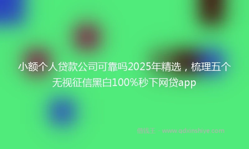 小额个人贷款公司可靠吗2025年精选，梳理五个无视征信黑白100%秒下网贷app