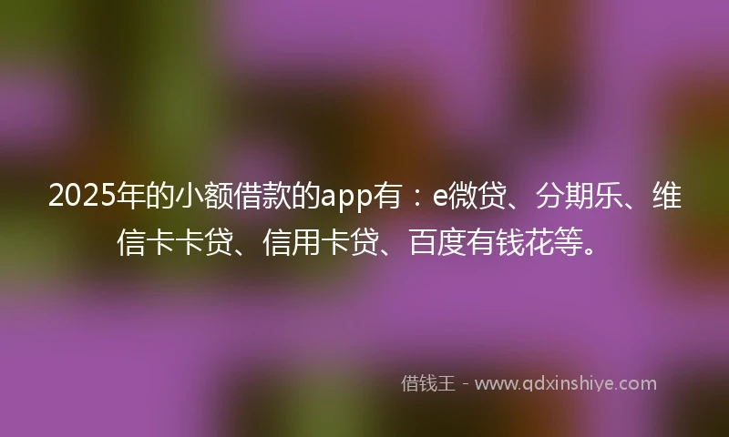 2025年的小额借款的app有：e微贷、分期乐、维信卡卡贷、信用卡贷、百度有钱花等。