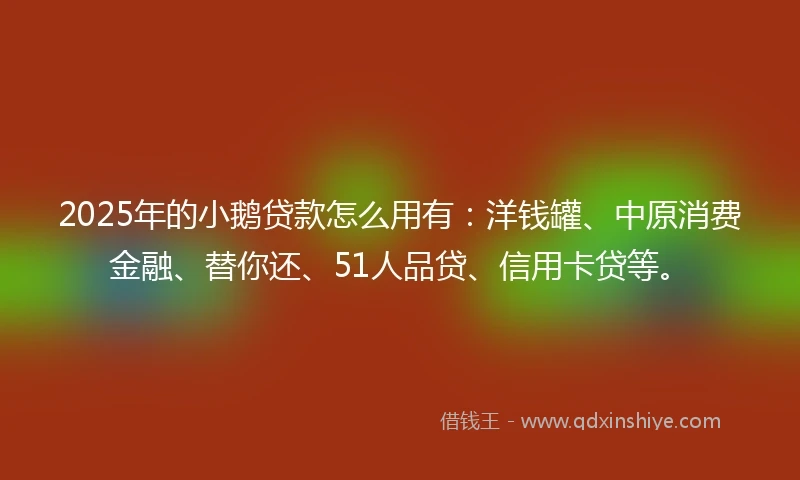 2025年的小鹅贷款怎么用有：洋钱罐、中原消费金融、替你还、51人品贷、信用卡贷等。