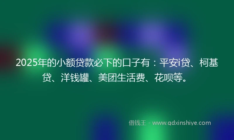 2025年的小额贷款必下的口子有：平安i贷、柯基贷、洋钱罐、美团生活费、花呗等。