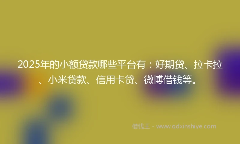 2025年的小额贷款哪些平台有：好期贷、拉卡拉、小米贷款、信用卡贷、微博借钱等。