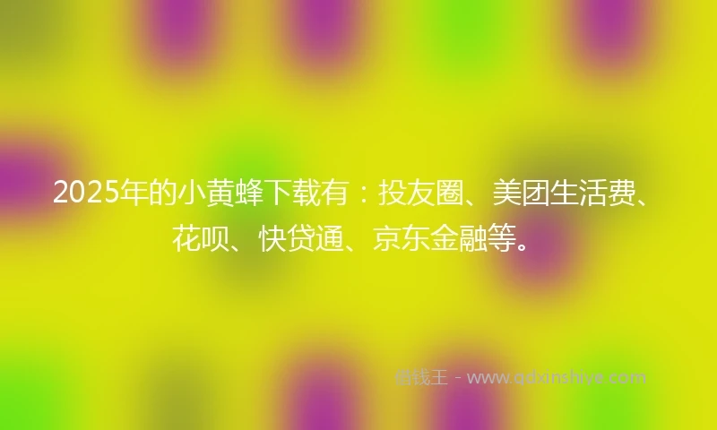 2025年的小黄蜂下载有：投友圈、美团生活费、花呗、快贷通、京东金融等。