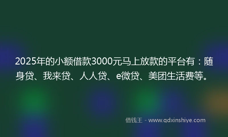 2025年的小额借款3000元马上放款的平台有：随身贷、我来贷、人人贷、e微贷、美团生活费等。