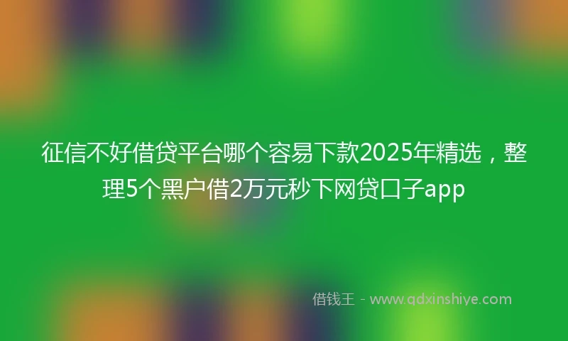征信不好借贷平台哪个容易下款2025年精选，整理5个黑户借2万元秒下网贷口子app