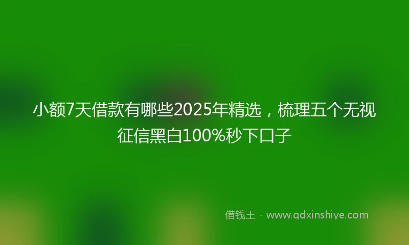 小额7天借款有哪些2025年精选，梳理五个无视征信黑白100%秒下口子