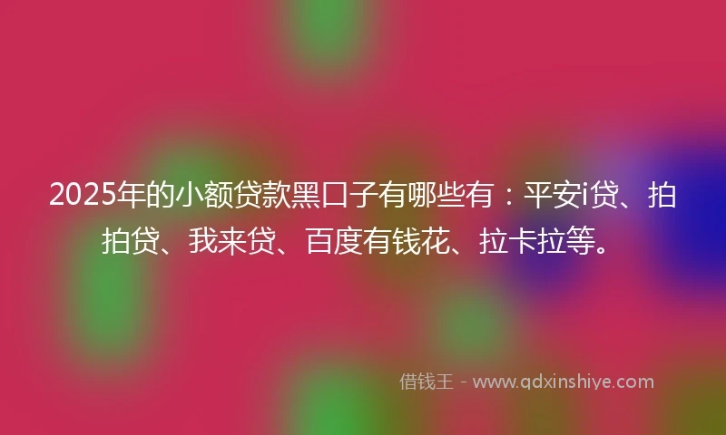 2025年的小额贷款黑口子有哪些有：平安i贷、拍拍贷、我来贷、百度有钱花、拉卡拉等。