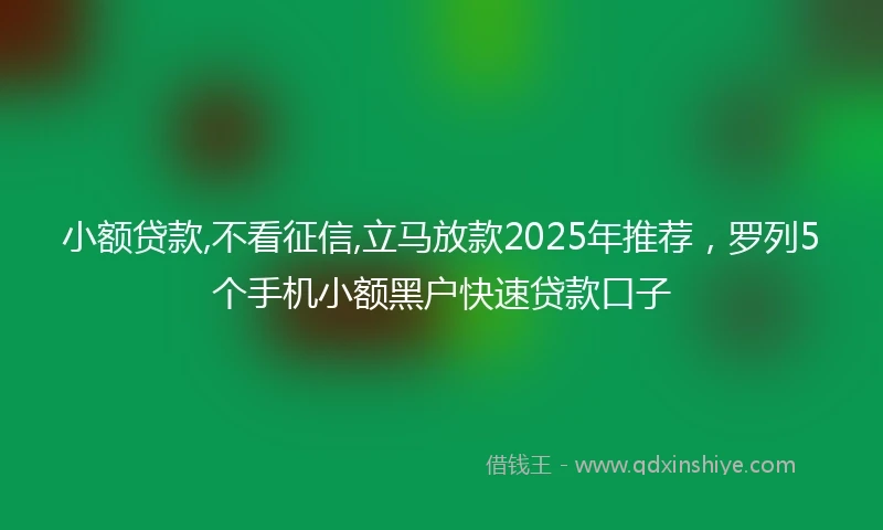小额贷款,不看征信,立马放款2025年推荐，罗列5个手机小额黑户快速贷款口子