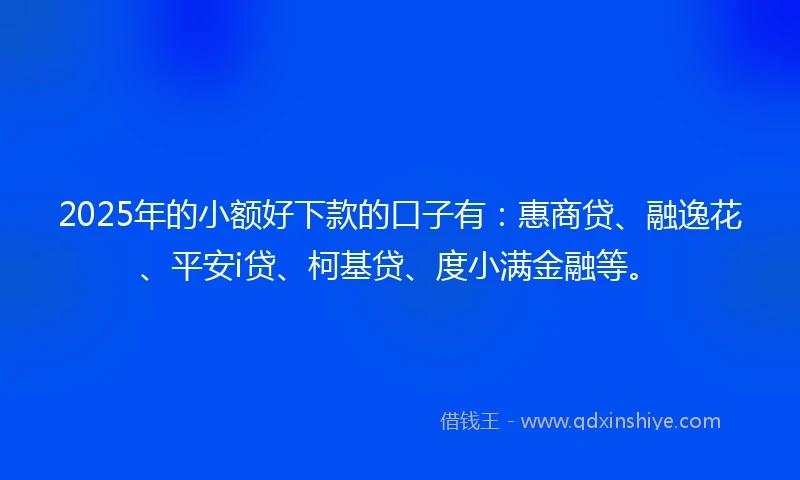 2025年的小额好下款的口子有：惠商贷、融逸花、平安i贷、柯基贷、度小满金融等。