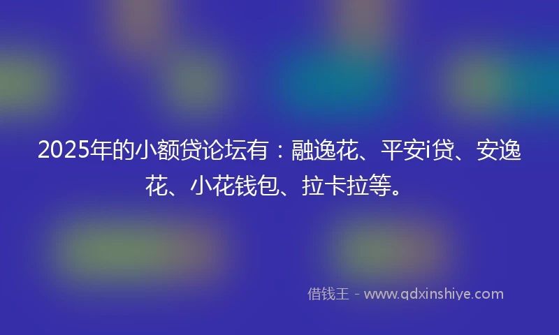 2025年的小额贷论坛有：融逸花、平安i贷、安逸花、小花钱包、拉卡拉等。