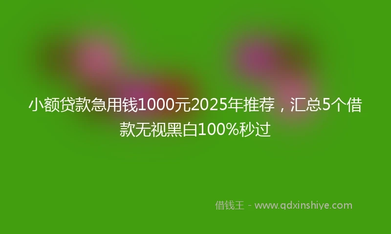 小额贷款急用钱1000元2025年推荐，汇总5个借款无视黑白100%秒过