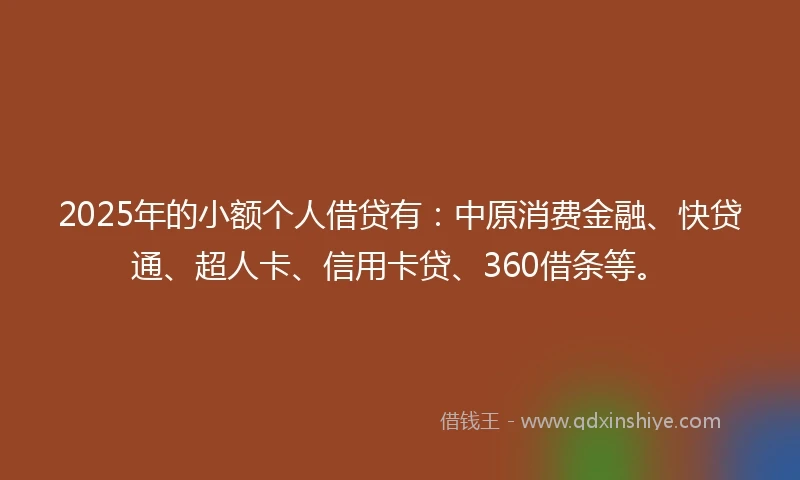 2025年的小额个人借贷有：中原消费金融、快贷通、超人卡、信用卡贷、360借条等。