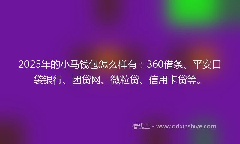 2025年的小马钱包怎么样有：360借条、平安口袋银行、团贷网、微粒贷、信用卡贷等。