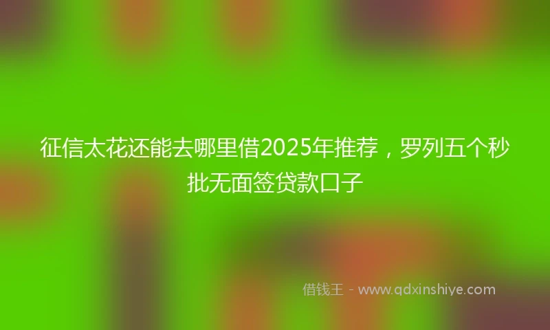 征信太花还能去哪里借2025年推荐，罗列五个秒批无面签贷款口子