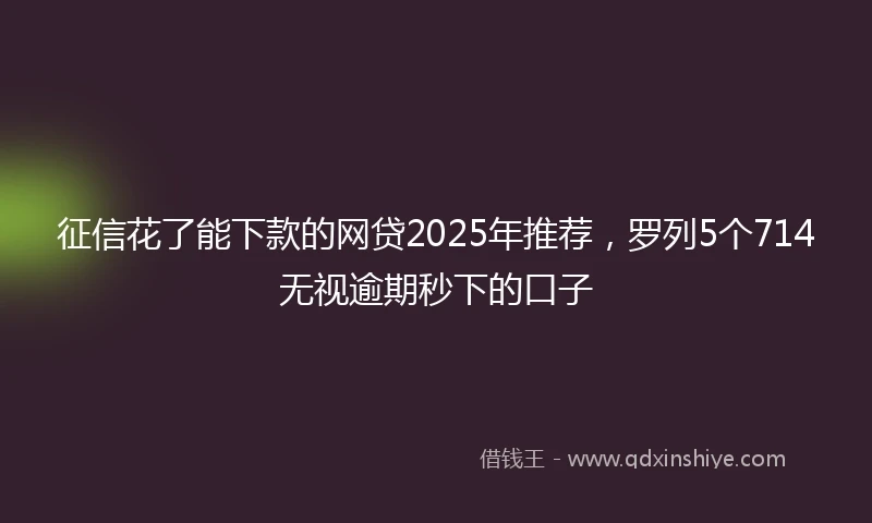 征信花了能下款的网贷2025年推荐,罗列5个714无视逾期秒下的口子