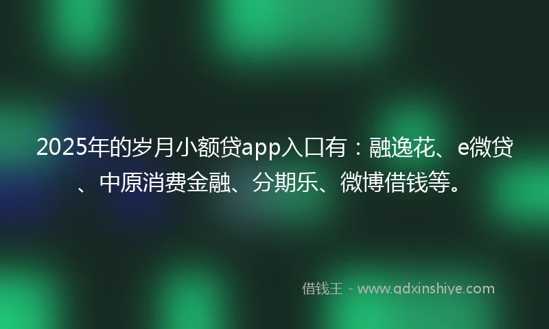 2025年的岁月小额贷app入口有：融逸花、e微贷、中原消费金融、分期乐、微博借钱等。