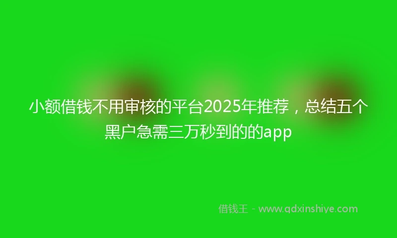 小额借钱不用审核的平台2025年推荐，总结五个黑户急需三万秒到的的app