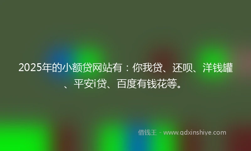 2025年的小额贷网站有：你我贷、还呗、洋钱罐、平安i贷、百度有钱花等。