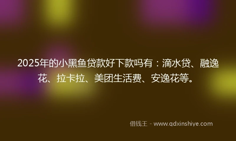 2025年的小黑鱼贷款好下款吗有：滴水贷、融逸花、拉卡拉、美团生活费、安逸花等。