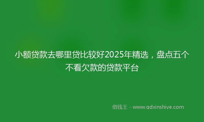 小额贷款去哪里贷比较好2025年精选，盘点五个不看欠款的贷款平台