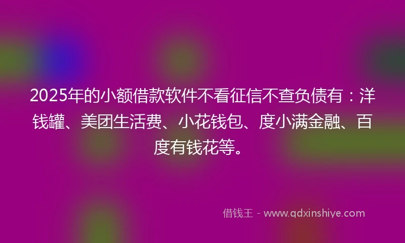 2025年的小额借款软件不看征信不查负债有：洋钱罐、美团生活费、小花钱包、度小满金融、百度有钱花等。