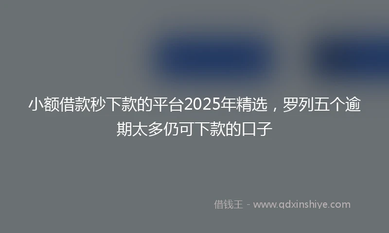 小额借款秒下款的平台2025年精选，罗列五个逾期太多仍可下款的口子