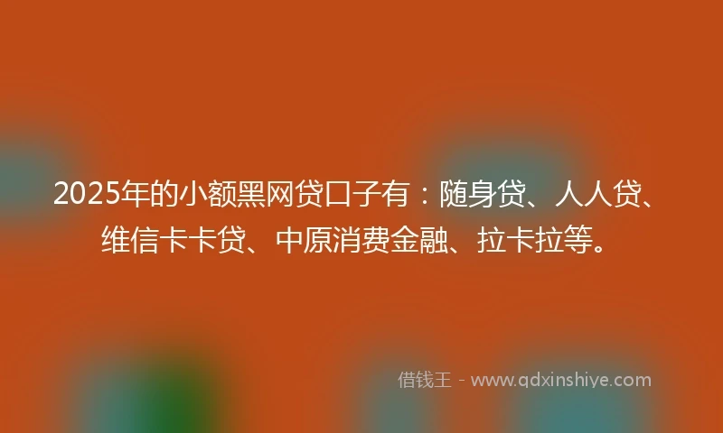 2025年的小额黑网贷口子有：随身贷、人人贷、维信卡卡贷、中原消费金融、拉卡拉等。