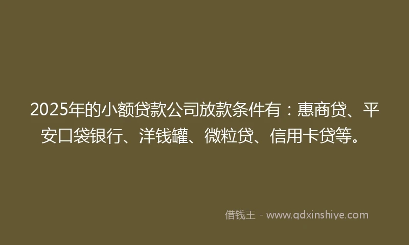 2025年的小额贷款公司放款条件有：惠商贷、平安口袋银行、洋钱罐、微粒贷、信用卡贷等。