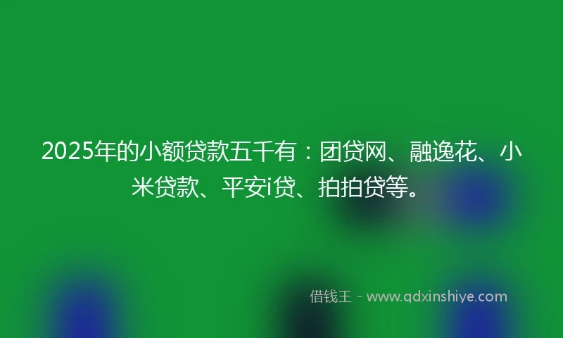 2025年的小额贷款五千有：团贷网、融逸花、小米贷款、平安i贷、拍拍贷等。