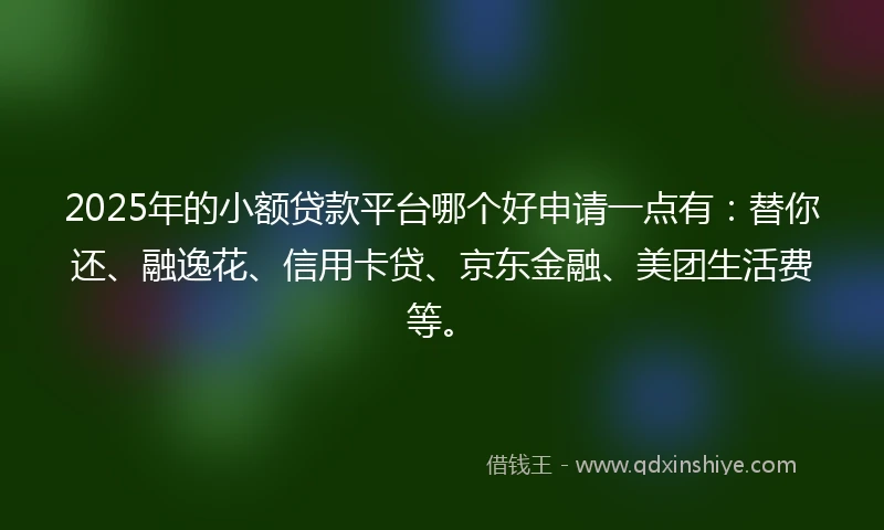 2025年的小额贷款平台哪个好申请一点有：替你还、融逸花、信用卡贷、京东金融、美团生活费等。